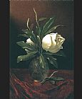 Two Magnolia Blossoms in a Glass Vase by Martin Johnson Heade